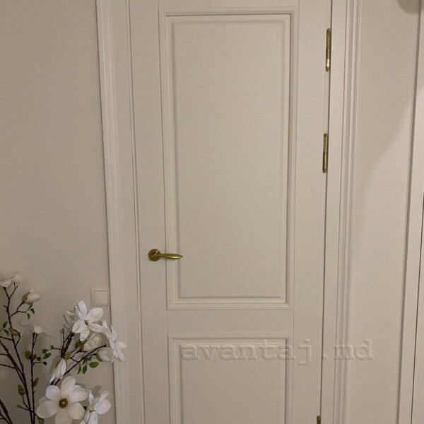 mdf door