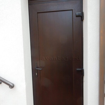 Входные двери на заказ Кишинёв