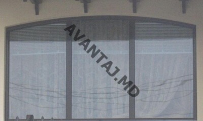 window 5