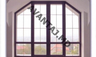 window 23