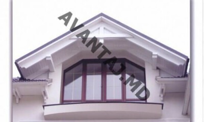 window 24