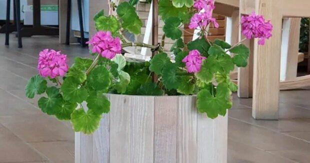 Ghiveciuri de Flori la comanda Chisinau / Цветочные горшки и вазоны на заказ в Кишинёве